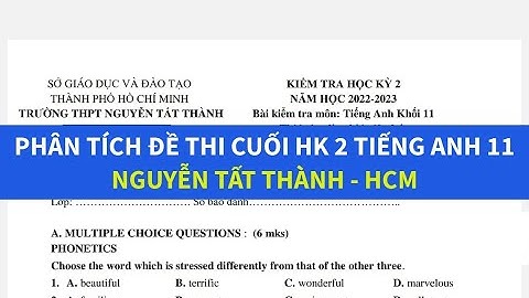 Ôn tập tiếng Anh lớp 11 cuối học kỳ 2 năm 2024 - Nguyễn Tất Thành - HCM - Simple English