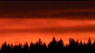 BAVARIAN SETTLEMENTS OF THE SAGINAW VALLEY, MICHIGAN - HISTORY