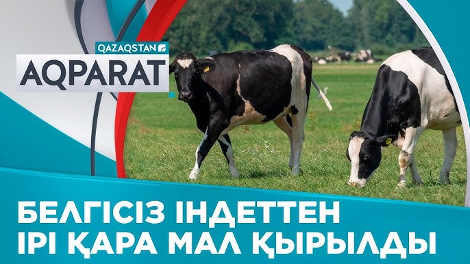 Жапон ауруханасы порно