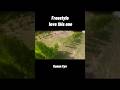 freestyle fpv