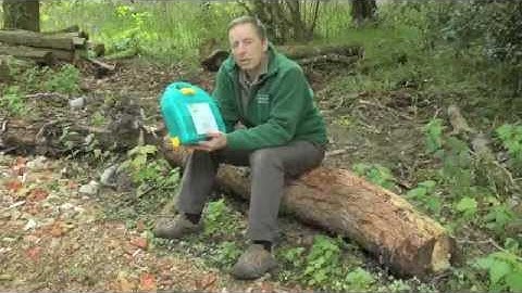 A guide to health and safety on a dormouse box check