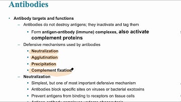 Immune Sytem Video 5