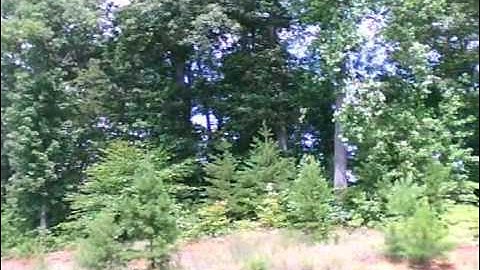 Mcpx Ultra BL with the new color blades by KBDD