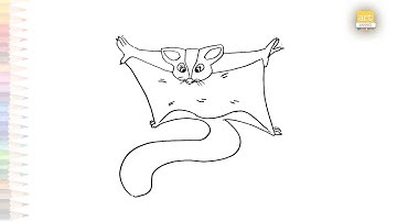 Sugar glider drawing | Animal drawing tutorials | How to draw Sugar glider step by step