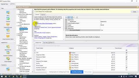 Membuat GRID dengan Devexpress c# II