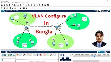 How to VLAN Configure Step by Step in Bangla