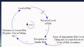 Introduction to Causal Loop Diagrams for Health Modeling and System Mapping