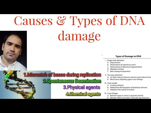 Causes of DNA