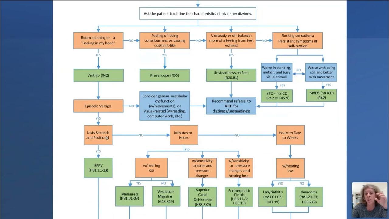 Dizziness Differential Diagnosis Algorithm An Update YouTube