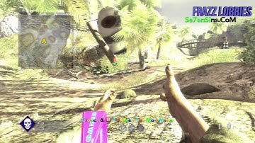 WAW Mod Menu (INSANE)