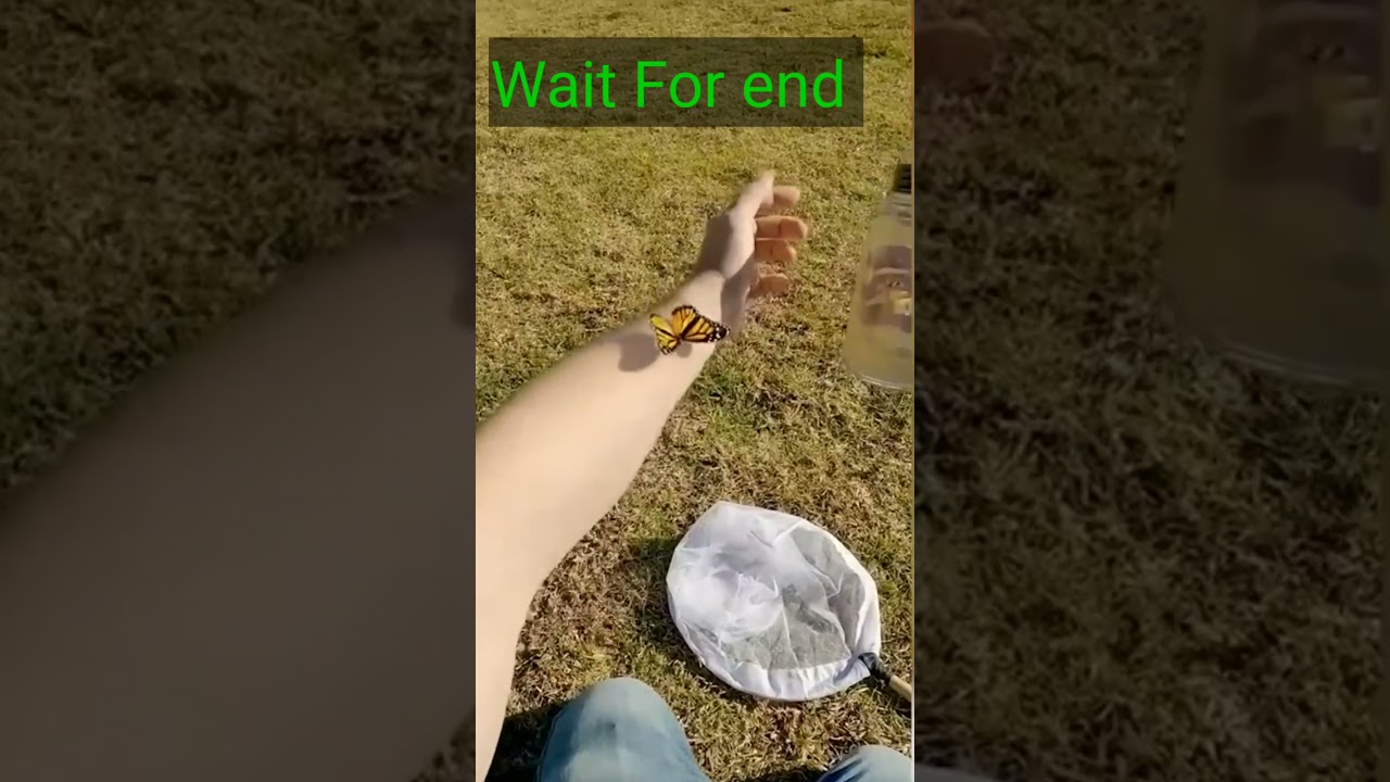 React On 42 Million Views YouTube Shorts 😎