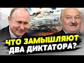 Между Лукашенко и Путиным ухудшились отношения — Павел Латушко