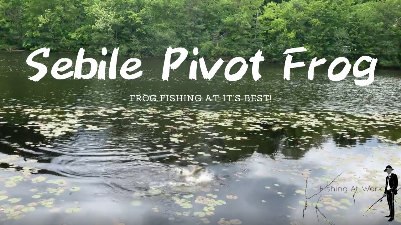 Sebile Pivot Frog Lure Review - I Lose A Big Bass At The End