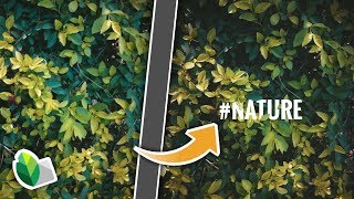 Snapseed TEXT edit effect 3 mini | editing tutorial for yr photos screenshot 4