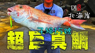 不可思議的超巨真鯛 嘉鱲   DIO魚Fishing
