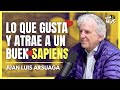 Seduccin y amor belleza los nmeros y la calidad  juan luis arsuaga  lo que t digas 286