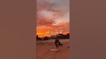 ﴿ أَفَلَا يَنظُرُونَ إِلَى الْإِبِلِ كَيْفَ خُلِقَتْ ﴾ سورة الغاشية || القارئ عبدالرحمن مسعد #قرآن