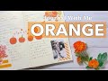 【Journal With Me】#2 橙orangeってどんな色？