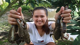 Amazing Cooking Frog with Creek Premna by VAC Daily chef