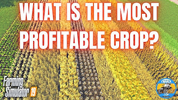 WHAT CROP MAKES MORE MONEY? - Farming Simulator 19 Test Video