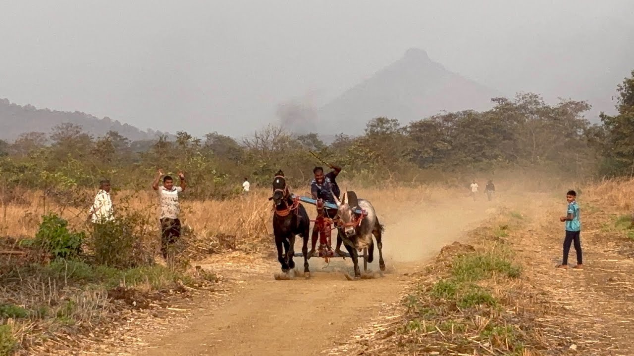 पवन घोडा आणि कन्हैया  नंदी तुफानी फेरा 