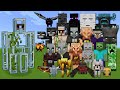 Glass golem vs every mob in minecraft  minecraft mob battle  glass golem vs all mobs