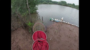 Câu Tráp mùa gió chướng