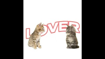 Thumbnail of hey lover!
