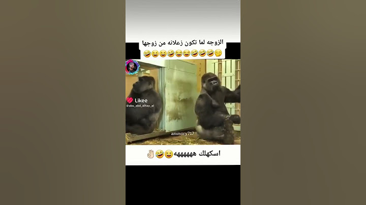 #الزوجه لما تكون زعلانه من زوجها ههههههههه 😂🤣😂😆😆🤣😂🤣🤣🤣🤣🤣 #لاجبر_الدهش #عمار_ملك_الأفكار #عمار_ملك_