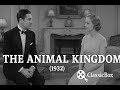 The Animal Kingdom (1932) | Leslie Howard & Myrna Loy | Pre-Code Classic | Full Movie