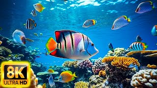 Aquarium 8K ULTRA HD - Beautiful Relaxing Coral Reef Fish - Relaxing Sleep Meditation Music