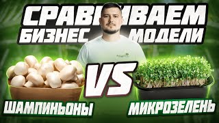 Сравнение бизнес-моделей: Грибы vs Микрозелень - что выбрать для прибыльного бизнеса?