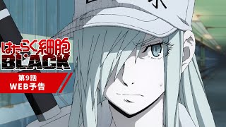 TVアニメ『はたらく細胞BLACK』第9話「異変、水虫、働く意味。」WEB予告│2021年2月20日放送