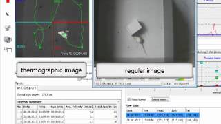 Video tracking an animal with thermographic camera