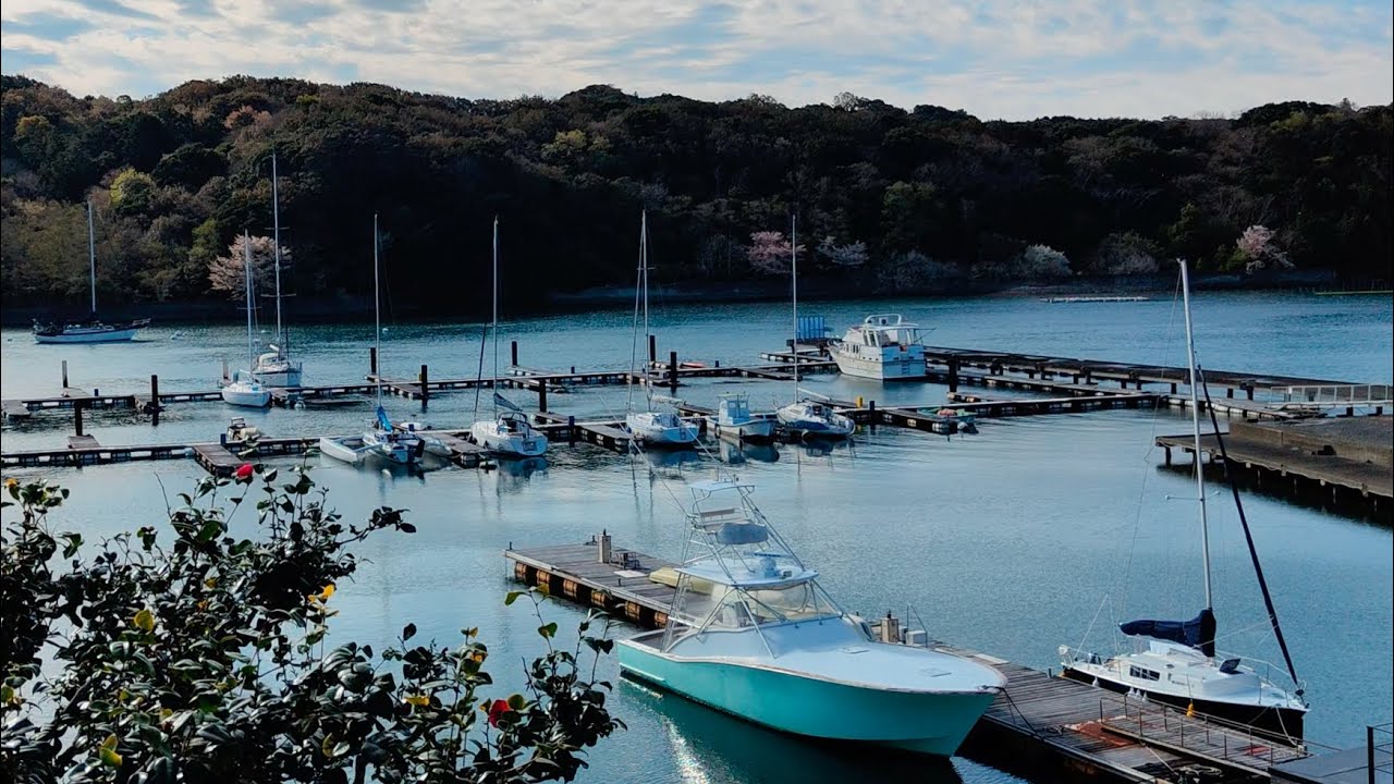 Ise-Shima in cherry blossom season ⛵ Solo Sailing Trip Japan | Ep.13