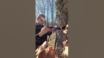 Sunyear Camping Hammock with Rain Fly And Bug Net.