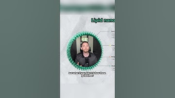 The past and future of lipid nanoparticles (LNPs)