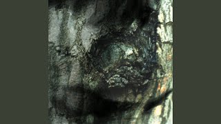 Hanako
Provided to YouTube by Pschent
Hanako · Yann Tiersen
The Waltz of the Monsters
℗ 1998 Yann Tiersen - Ici dailleurs
Released on: 2012-11-19
Music Publisher: Sony ATV Music
Auto-generated by YouTube. Hanako