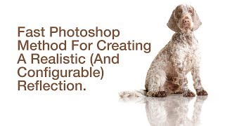 How To Create A Configurable Reflection In Photoshop screenshot 4