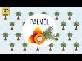 Das Problem mit dem Palmöl: Regenwaldzerstörung, Artensterben, Erderwärmung.. - Schlaumal - Doku