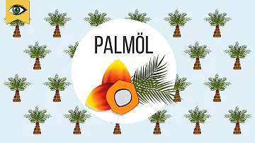 Was ist Palmöl einfach erklärt?