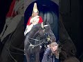 Horse Wants To Untie Her Ponytail