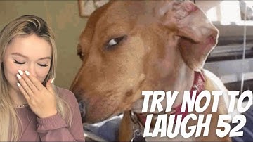 Try Not To Laugh CHALLENGE #52 By Adiktheone REACTION!!!