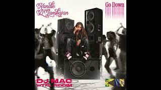 Kandie DJambajan - Go Down (WYFL Riddim) [Audio Visualizer]