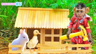 Luby Monyet Lucu Membuat Rumah Bebek Dan Kelinci
