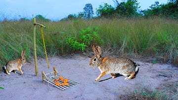 Creative Method Unique Rabbit Trap - Build Deep Hole Underground Rabbit Trap Using Wood