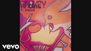 Video thumbnail of "Radkey - St. Elwood (Audio)"