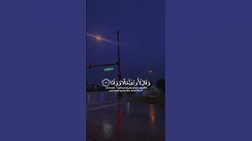 ‏افرءيت الذي كفر بآياتنا | عبدالرحمن مسعد | سوره مريم