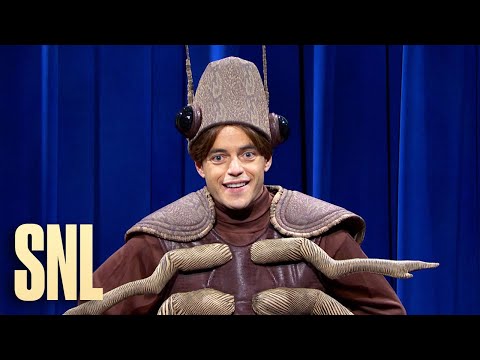 Bug Assembly - SNL