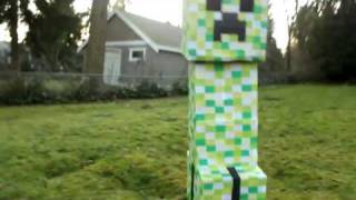 Minecraft creeper costume